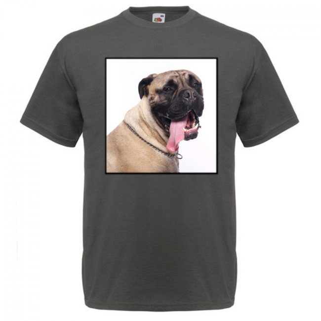 KOIRAROTU T-PAITA LIGHT GRAPHITE - BULLMASTIFFI