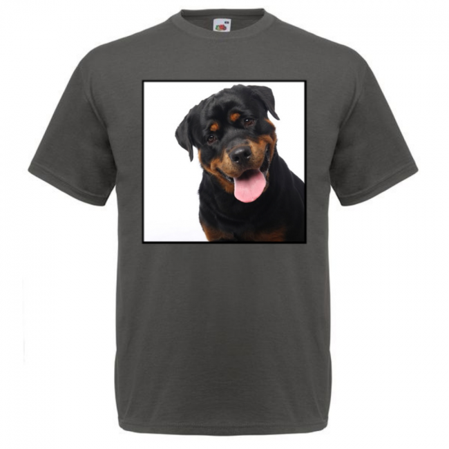 KOIRAROTU T-PAITA LIGHT GRAPHITE - ROTTWEILER