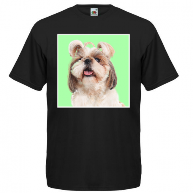 KOIRAROTU T-PAITA MUSTA - SHIH TZU