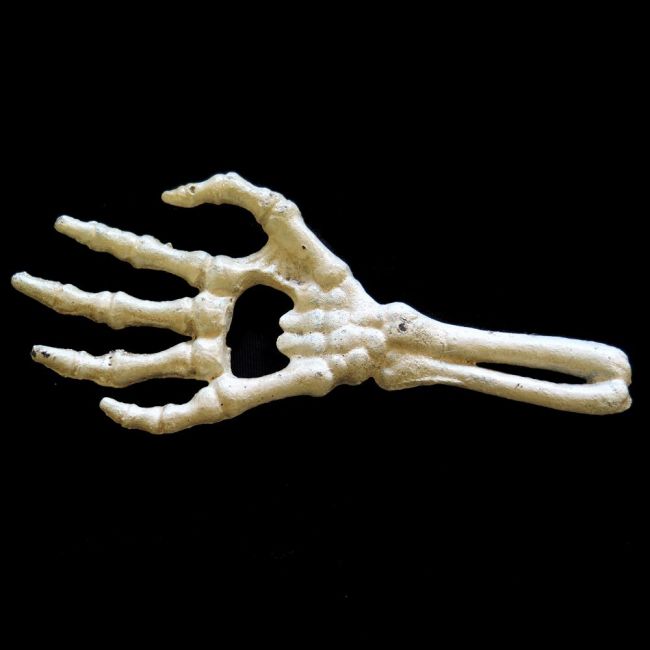 PULLONAVAJA - Skeletal Hand Bottle Opener