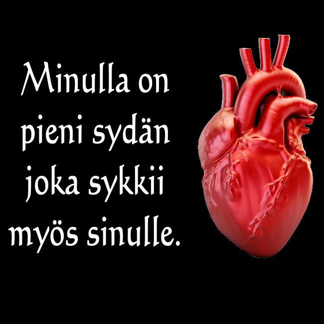 T-PAITA musta -  PIENI SYDÄN (00 3050)