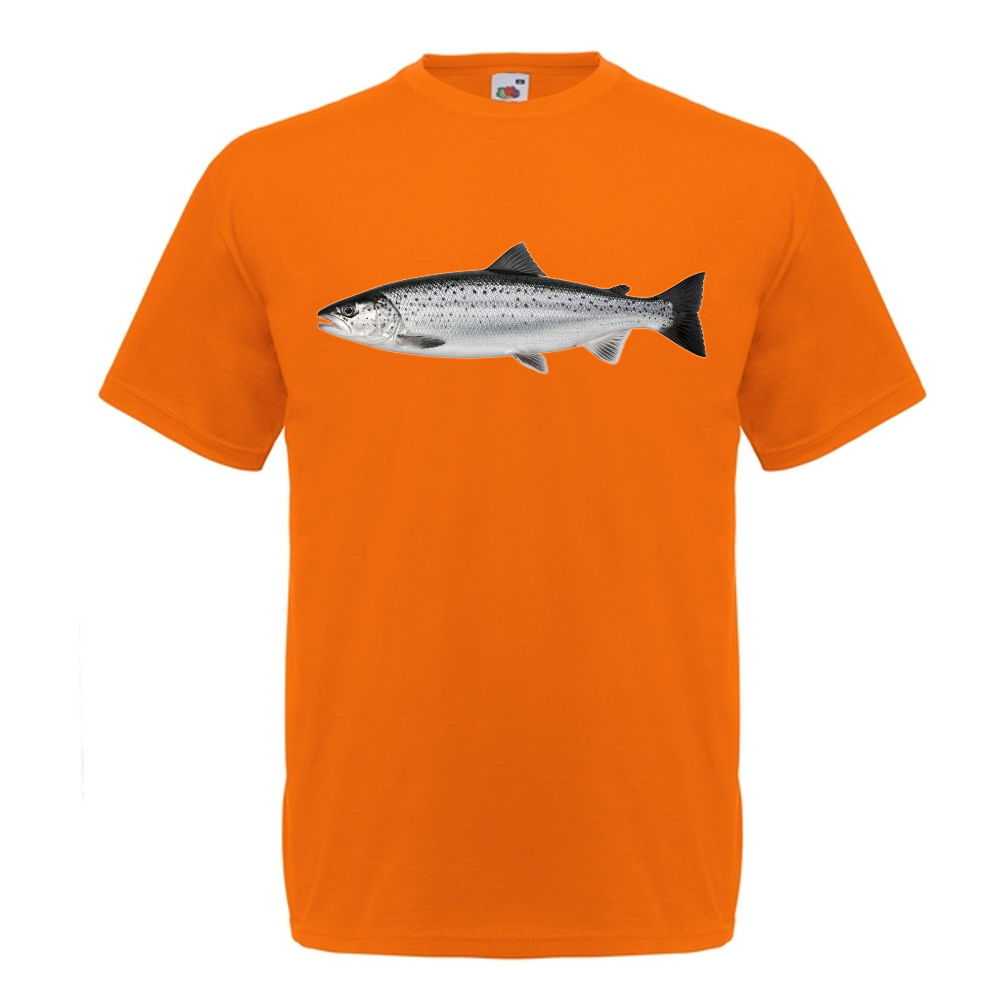 T-PAITA - LOHI (00 731)