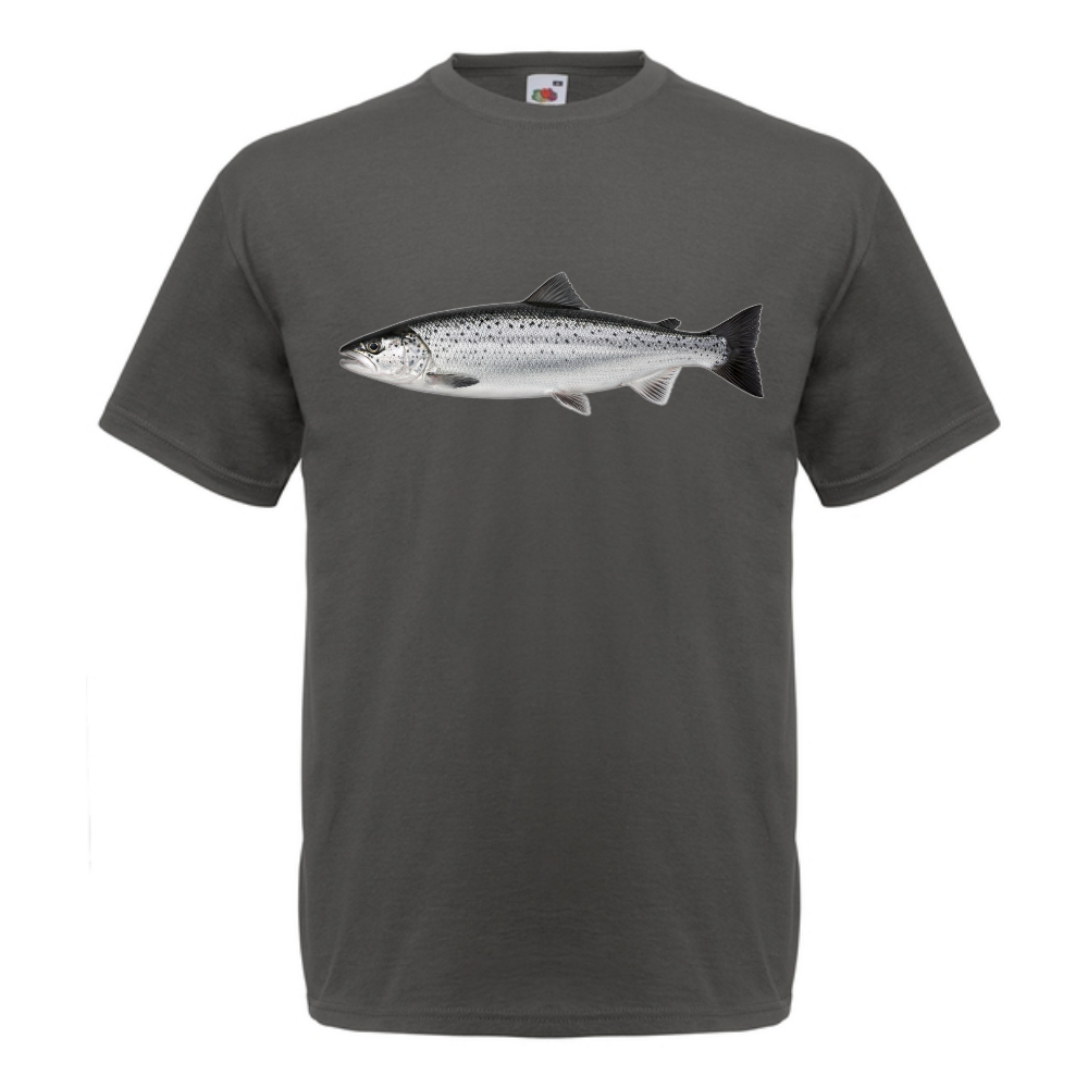 T-PAITA - LOHI (00 731)