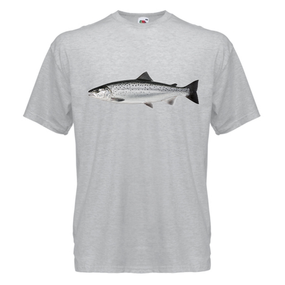 T-PAITA - LOHI (00 731)