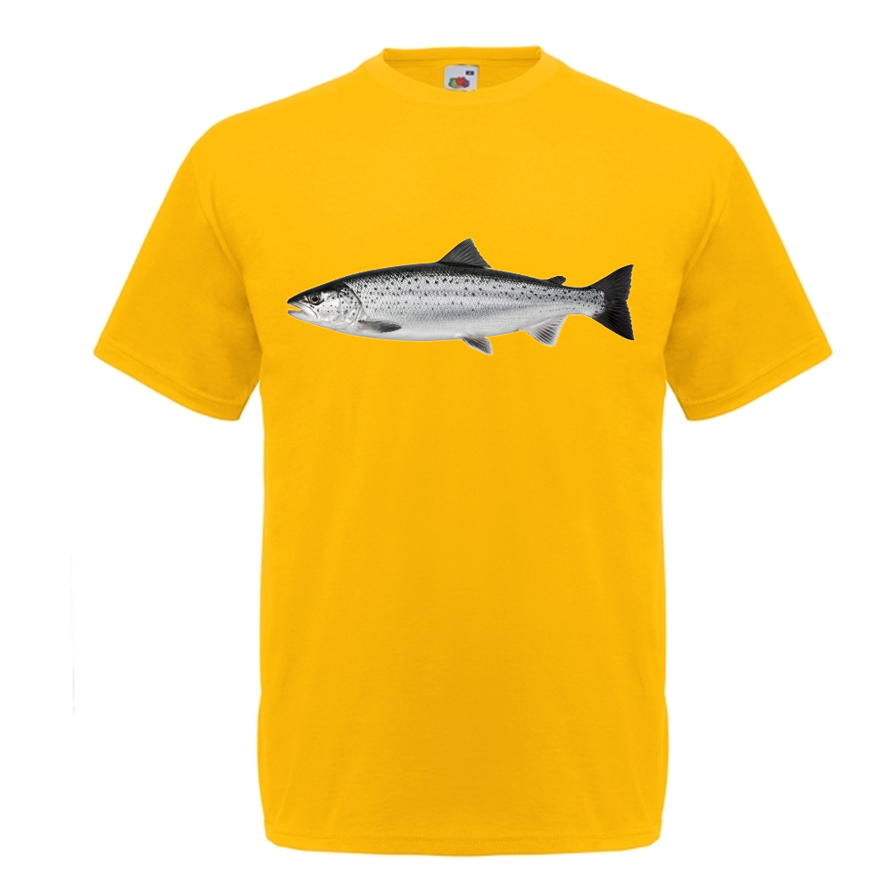 T-PAITA - LOHI (00 731)