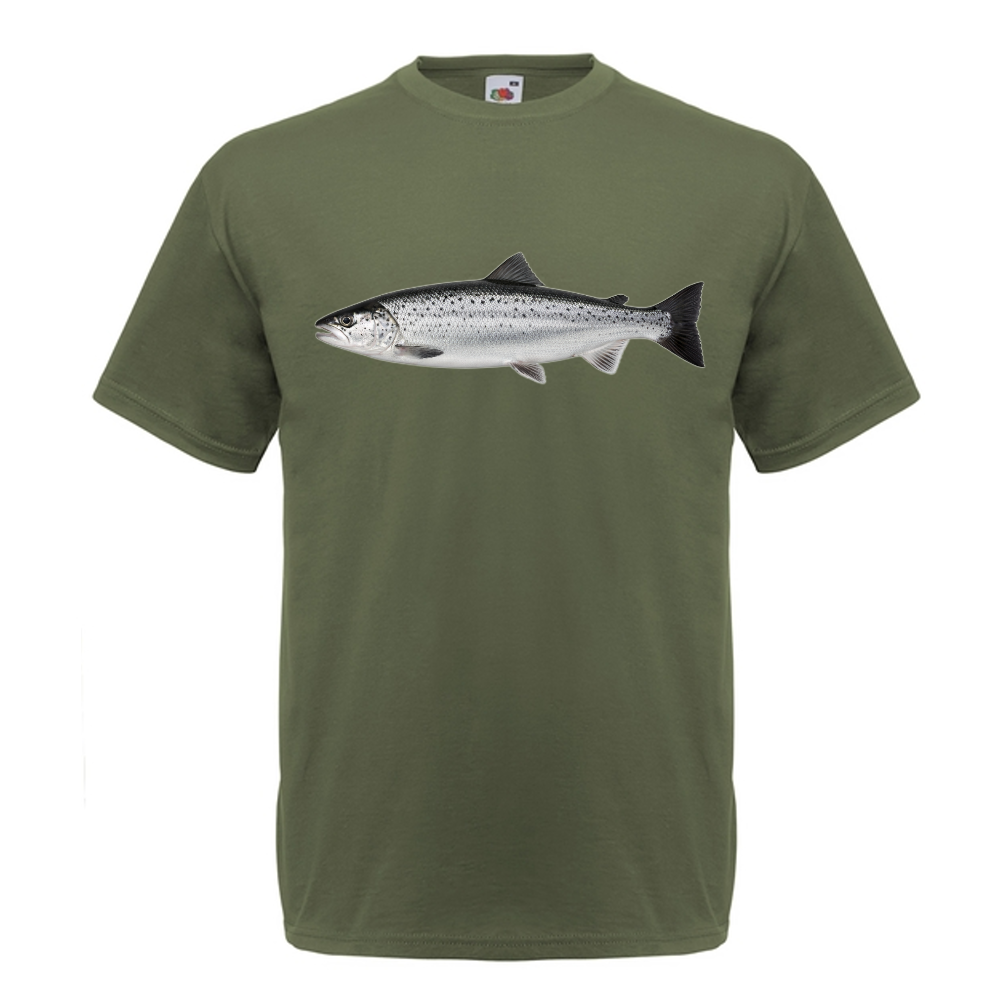 T-PAITA - LOHI (00 731)