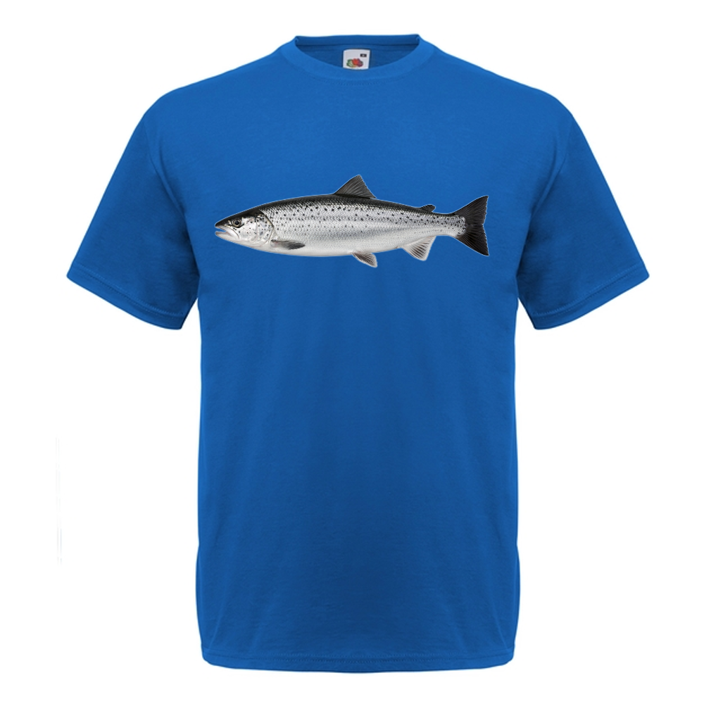 T-PAITA - LOHI (00 731)