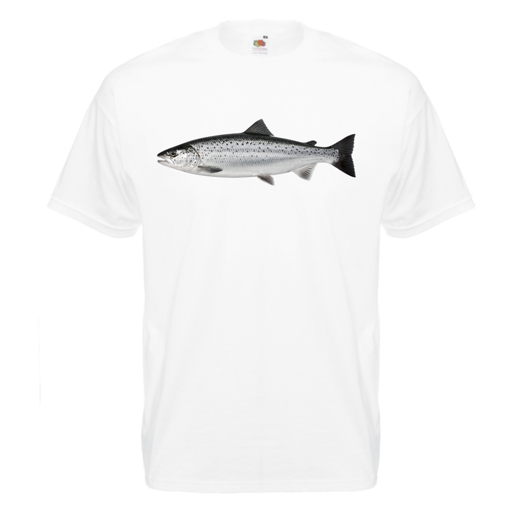 T-PAITA - LOHI (00 731)