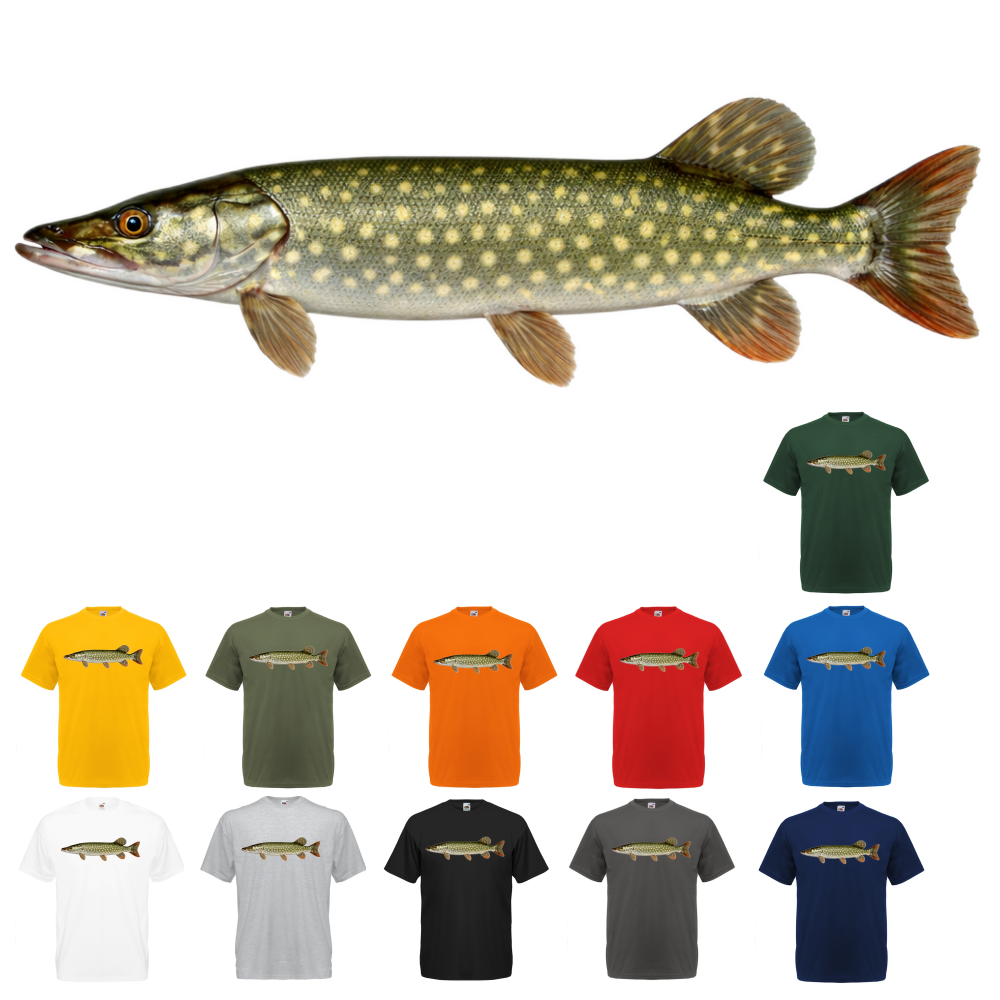 T-PAITA - HAUKI (00 728)