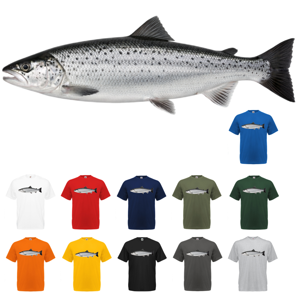 T-PAITA - LOHI (00 731)