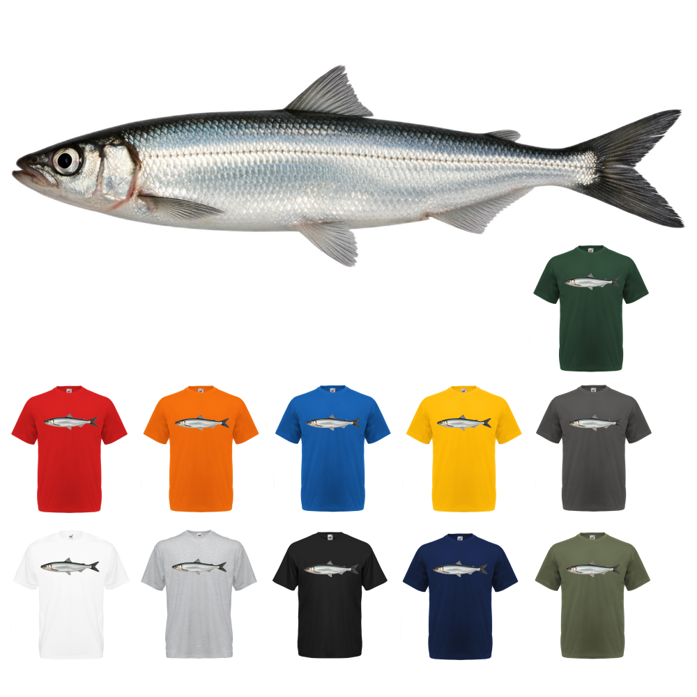 T-PAITA - MUIKKU (00 724)