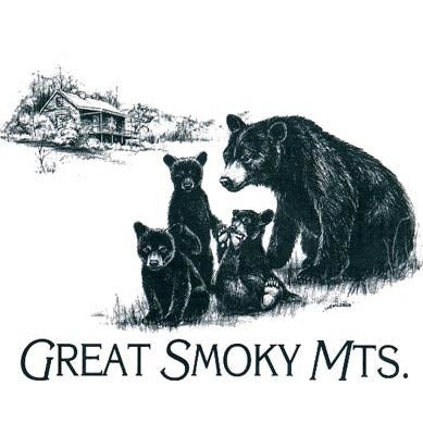 Great smoky mts. (1004)