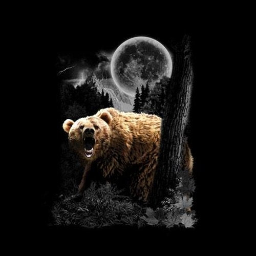 BEAR WILDERNESS (1029)