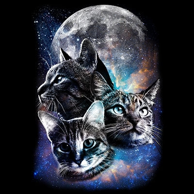 SPACE CATS MOON (494)