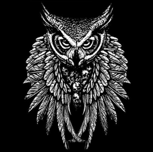 3 /4 SHORTSIT+HIHATON - OWL SKULL WINGS (932)