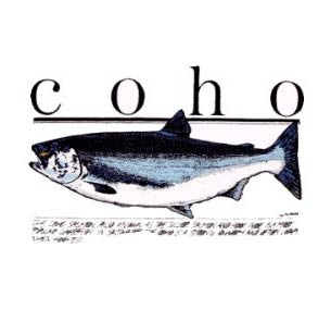 COHO (377)