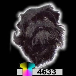 AFFENPINSCHER (4633)