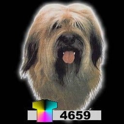 BRIARD (4659)