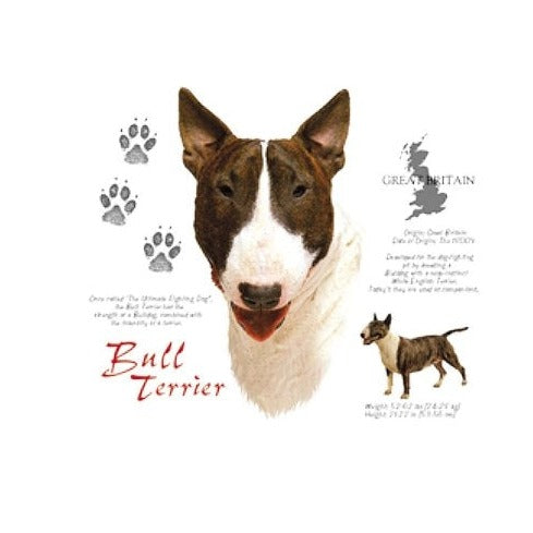 BULL TERRIER (4661)