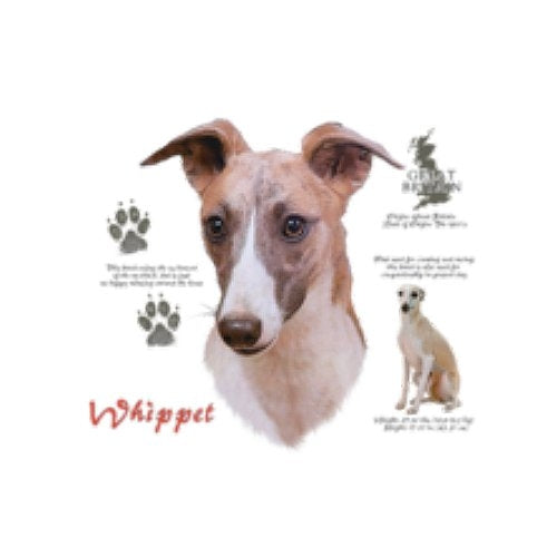 WHIPPET (4751)