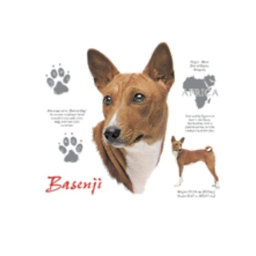 BASENJI (4758)