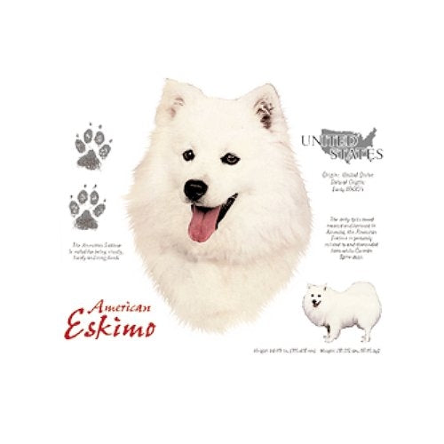 AMERICAN ESKIMO WHITE (5035)