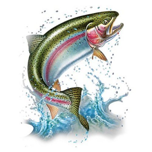 ACTION RAINBOW TROUT (606)
