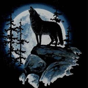 Wolf moon (655)