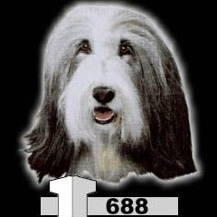 BEARDED COLLIE (688)