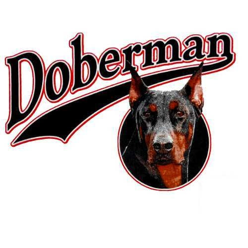 DOBERMAN - Breed of champions(719)
