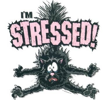 I´M STRESSED (767)