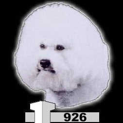 BICHON FRISE (926)