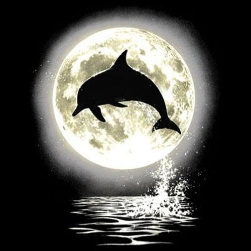 DOLPHIN MOON (955A)