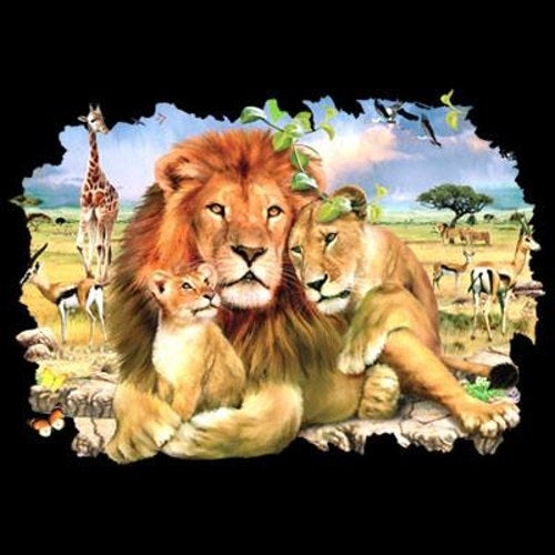 Lion family (958A)