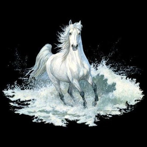 WHITE HORSE (986A)