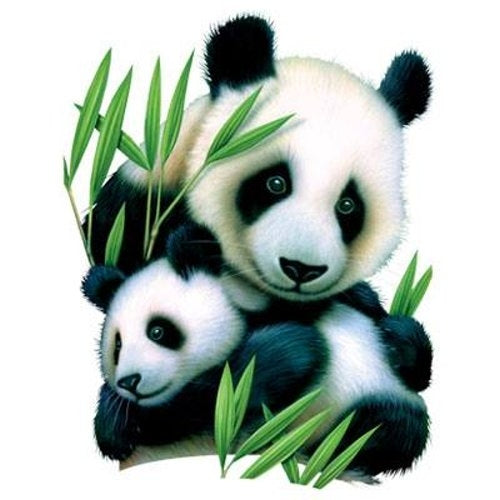 PANDA & CUB (988A)