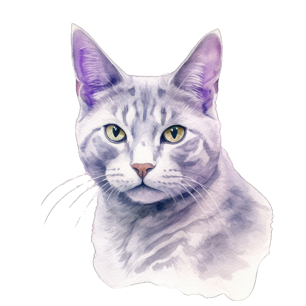 PAINATUS - Thai lilac cat