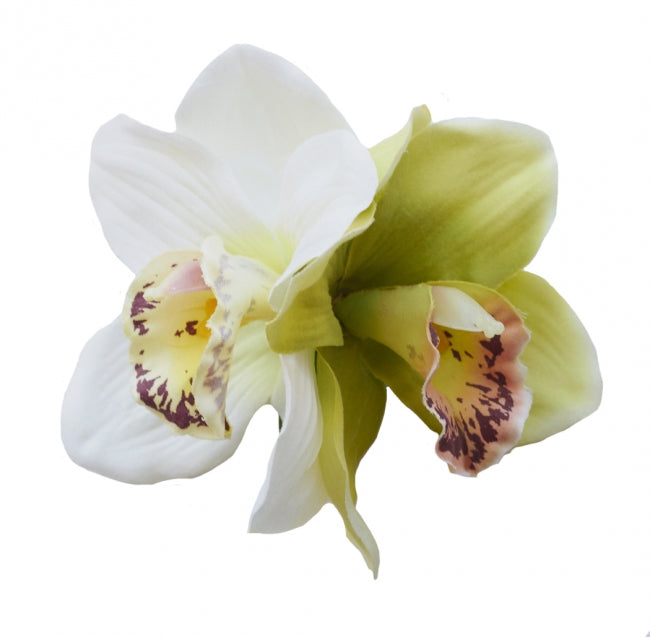 GINGER Double Green/Cream Orchid Hair Flower