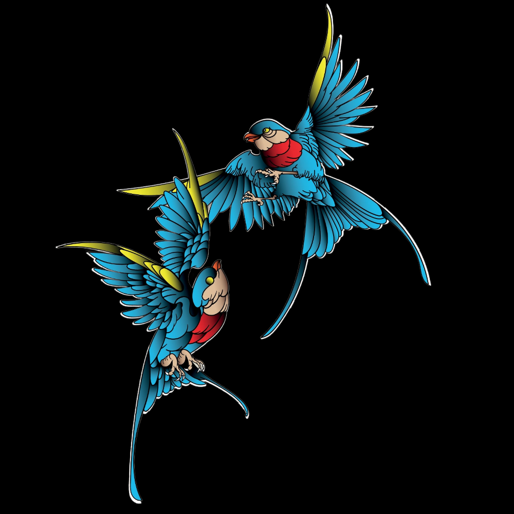 T-PAITA MUSTA - Flying Birds