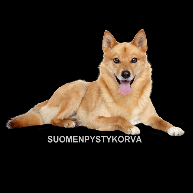 Verkkoperälippis  - SUOMENPYSTYKORVA  (00 3033)